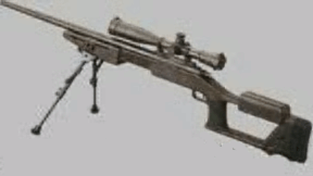 gun stock